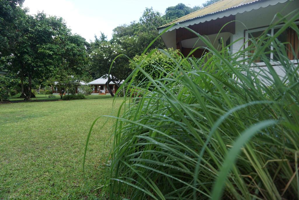 Chalet Bamboo Vert La Digue Exterior photo